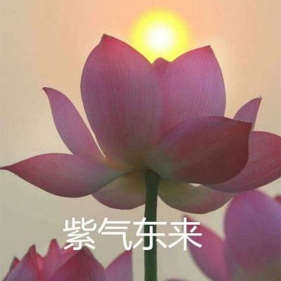 魔魂大陆37游戏下载