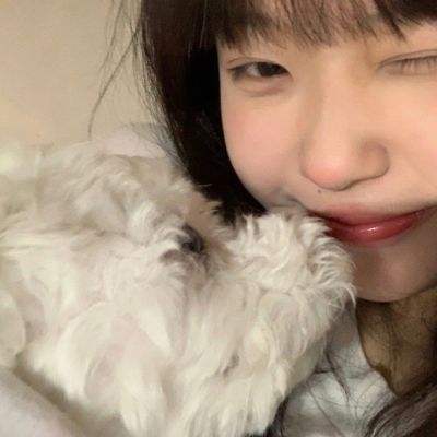 草花手游魔法门挂机下载